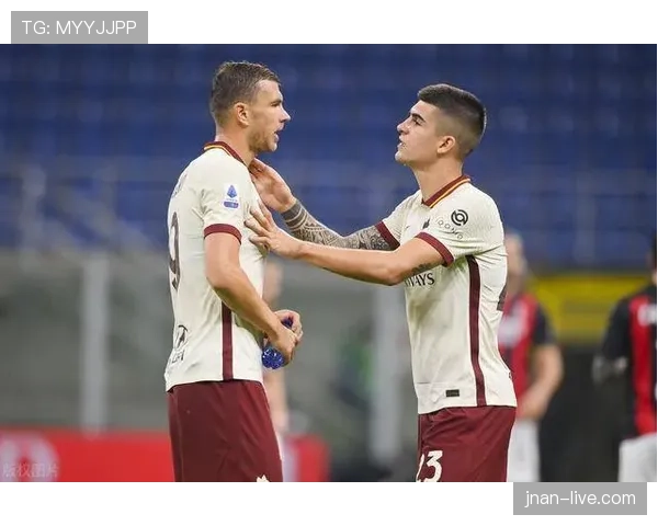 哲科与伊布在体系驱动下的终结效率分化机制解析